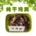 海南干鸡粪批发乐东发酵鸡粪供应陵水鸡粪有机肥怎么出售