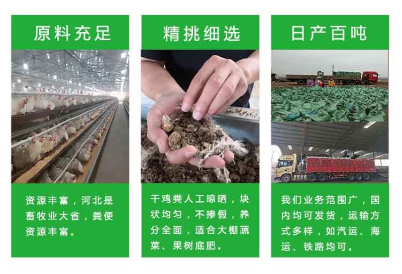 海南干鸡粪批发乐东发酵鸡粪供应陵水鸡粪有机肥怎么出售