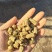 花生壳颗粒干净无沙，饲喂牛羊放心可靠