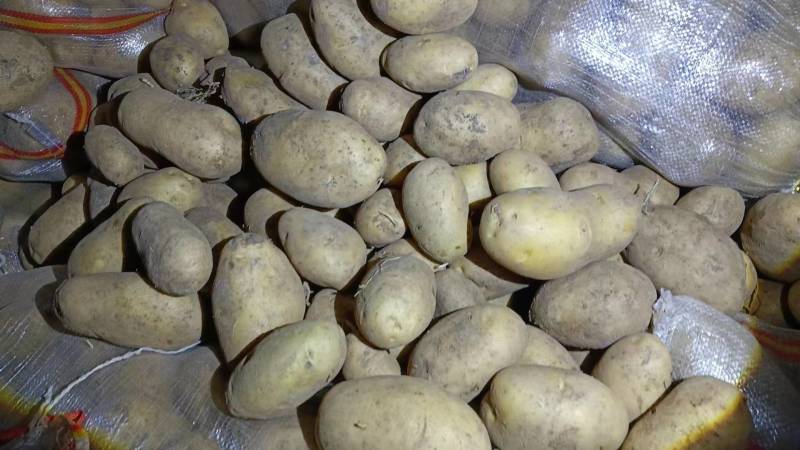 内蒙古窖藏土豆。翻包。原包都有。3两起步。