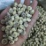 新疆脱皮油莎豆，一手货源，产地直发，品质保证，欢迎采购