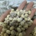 新疆脱皮油莎豆，一手货源，产地直发，品质保证，欢迎采购