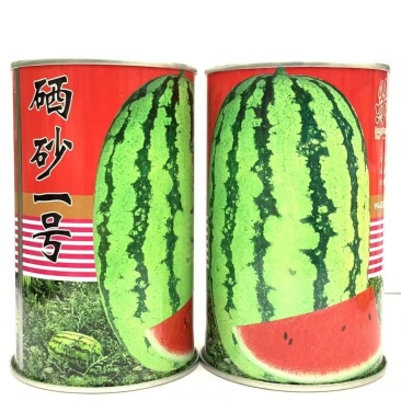 硒砂一号西瓜种子早熟抗病高产大红瓤皮薄耐运输西瓜种籽保护