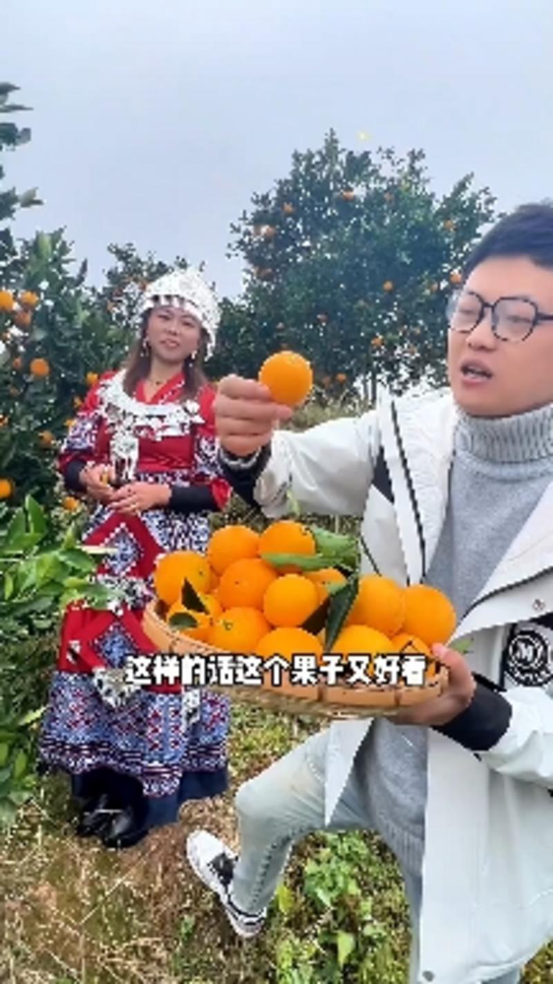 湖南锦蜜冰糖橙，大量有货，品质保证，欢迎来电
