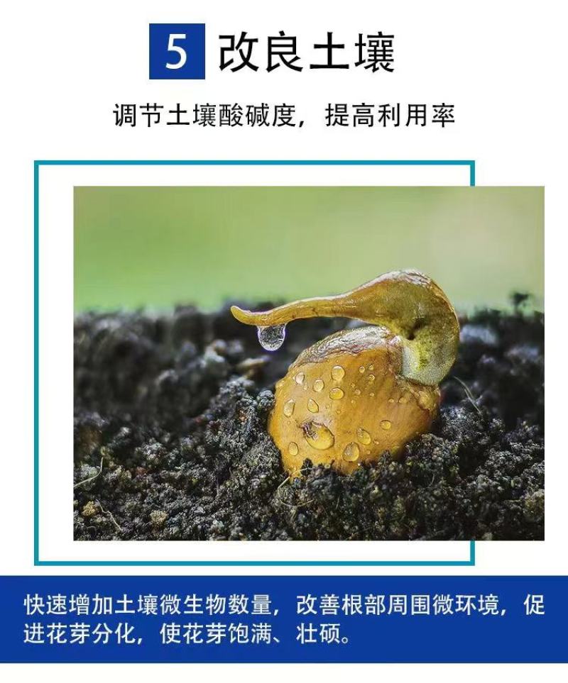 复合微生物菌肥疏松土壤抗盐碱性减少土地板结抗寒抗旱保肥