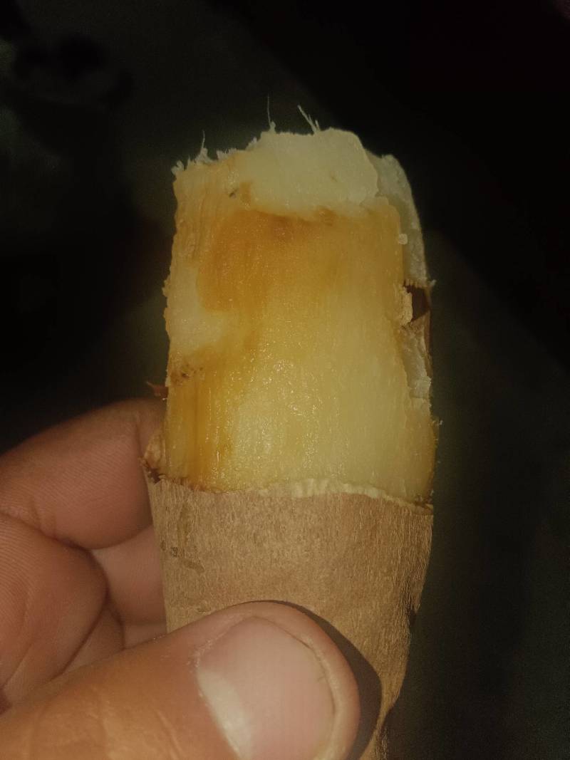 冰糖心哈密红薯有需要的老板联系有有五六千斤软糯香甜没有思