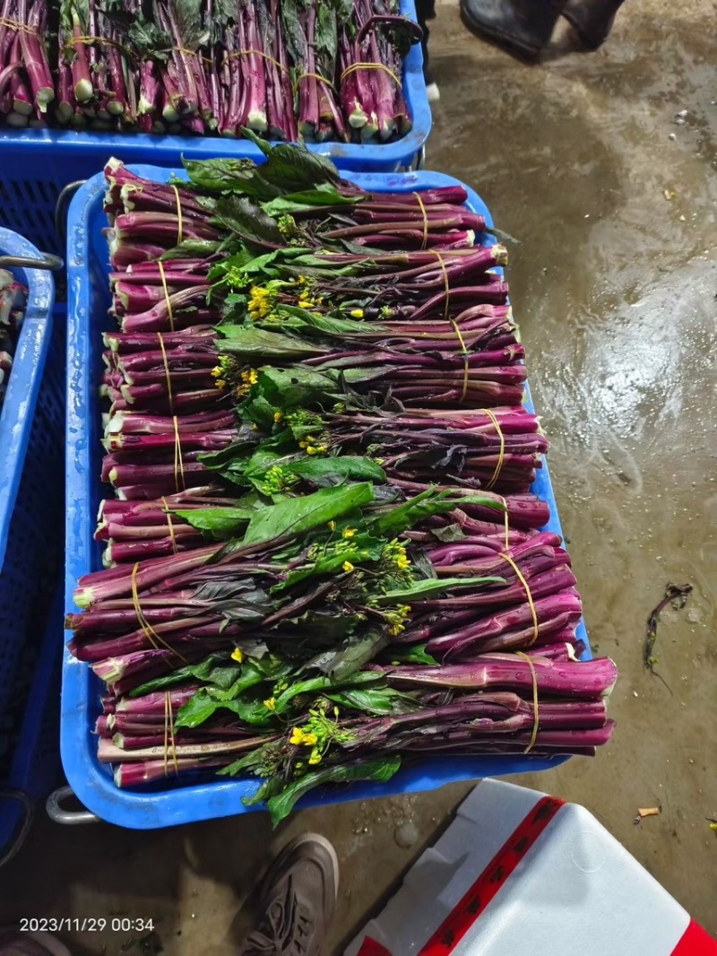 精品红菜苔，产地直发，一手货源，品质保证，价格美丽