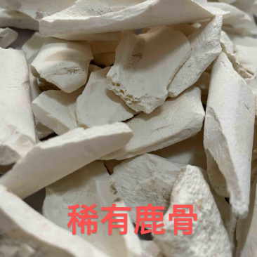 精品干鲜鹿骨