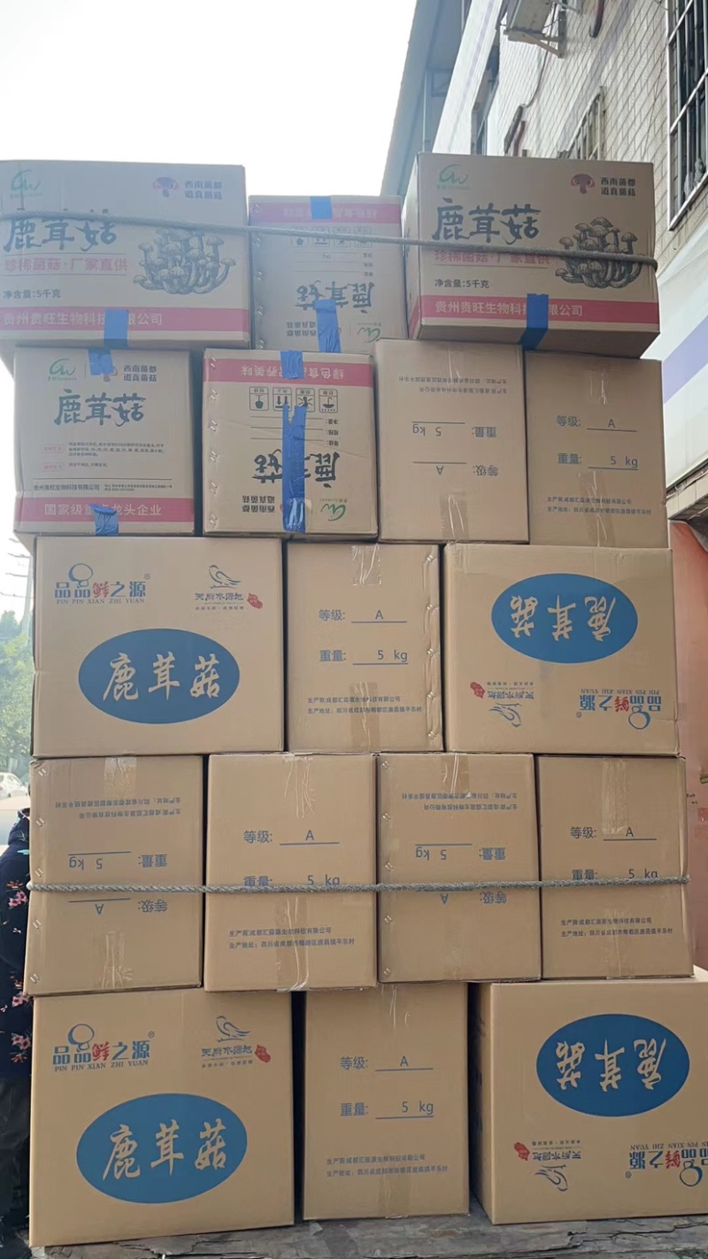 精品鹿茸菇