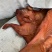 整只烤乳猪烟熏小香猪10-12斤左右
