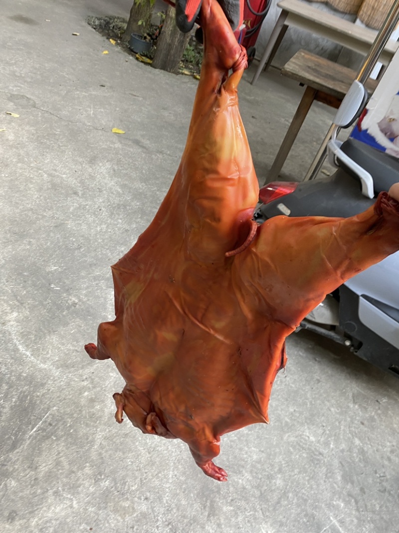 整只烤乳猪烟熏小香猪10-12斤左右