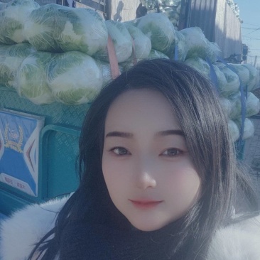 精品秦白二号大白菜单颗4~6斤颗形圆个头均匀商超市场货