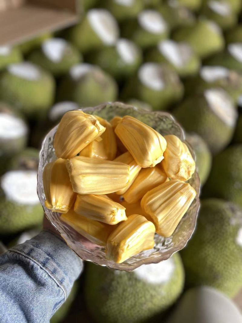 云南西双版纳红肉菠萝蜜青皮新鲜水果一件代发批发