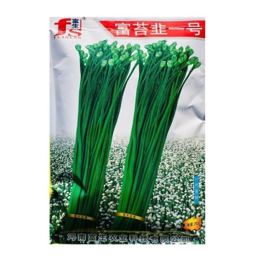 富生韭菜种籽富苔韭一号韭苔种子四季苔韭种籽一代原种青韭种