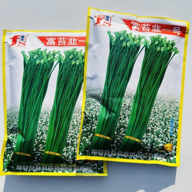 富生韭菜种籽富苔韭一号韭苔种子四季苔韭种籽一代原种青韭种