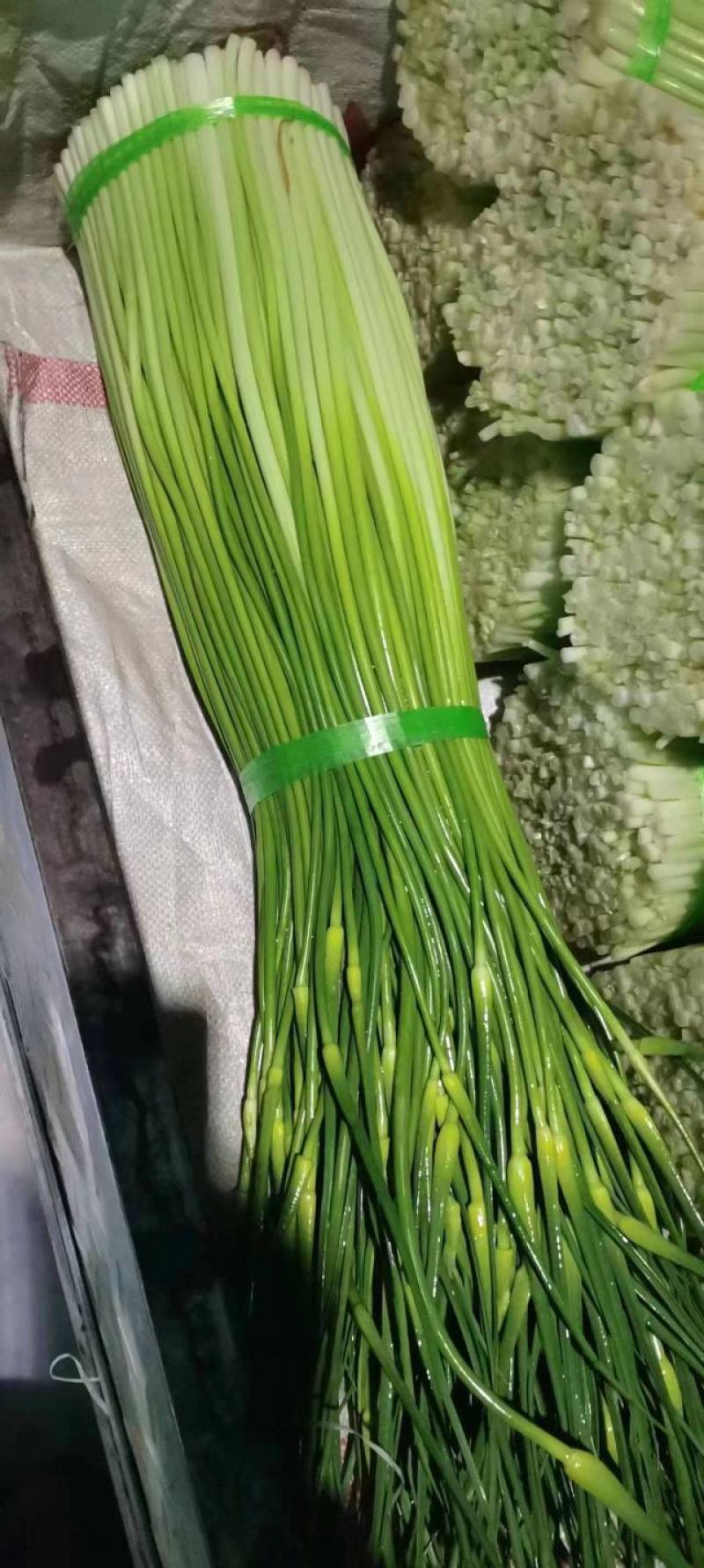 蒜台