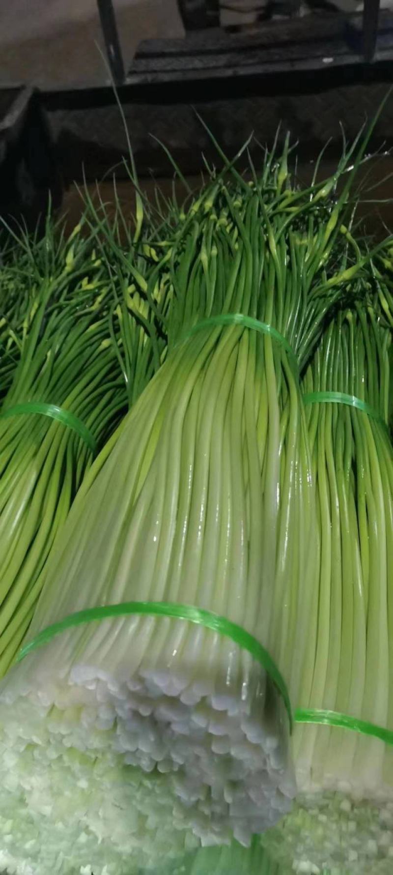 蒜台