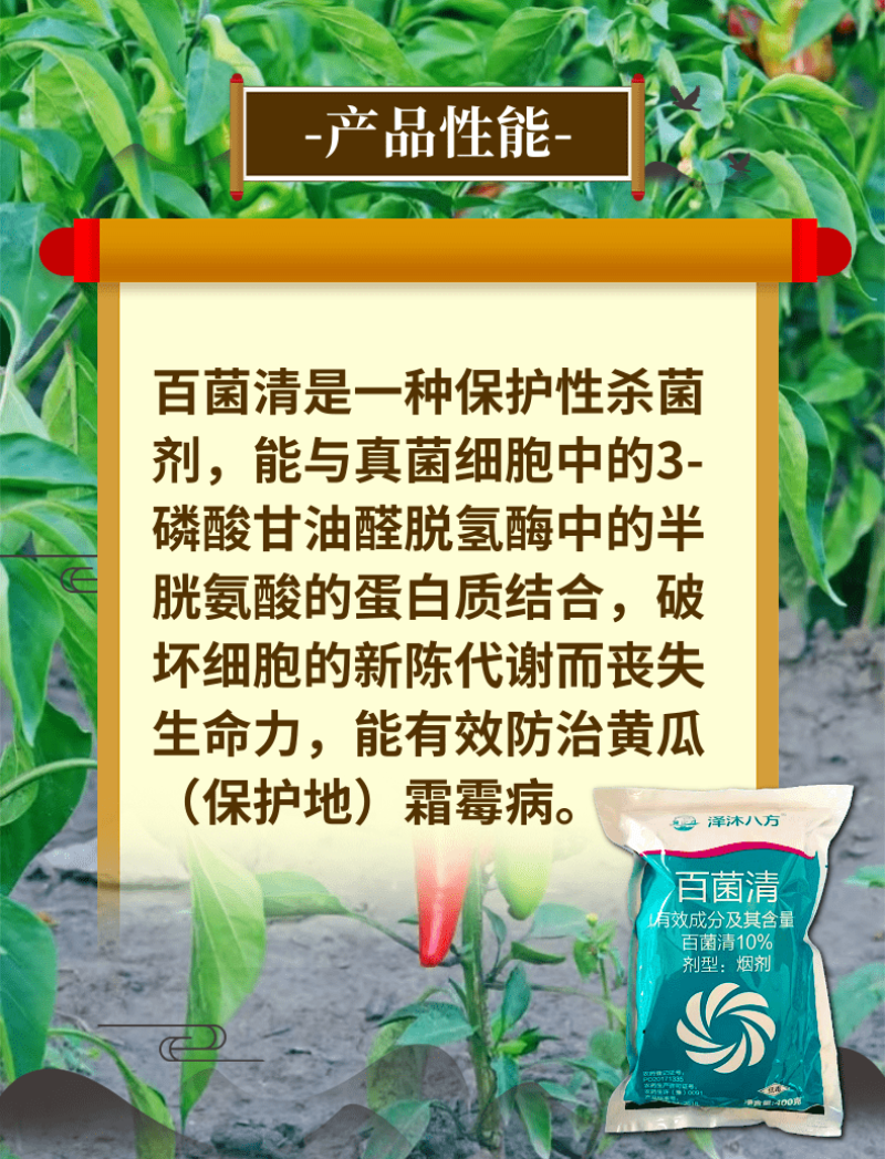 10%百菌清大棚专用烟熏剂杀菌剂烟剂霜霉病等真菌