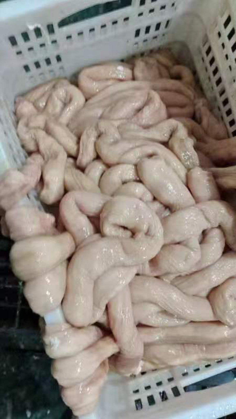 黄牛牛大肠河北厂家直发保质保量供货批发零售