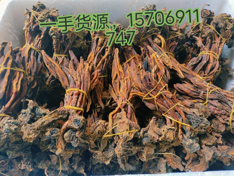 回春草需要请看图来电！
