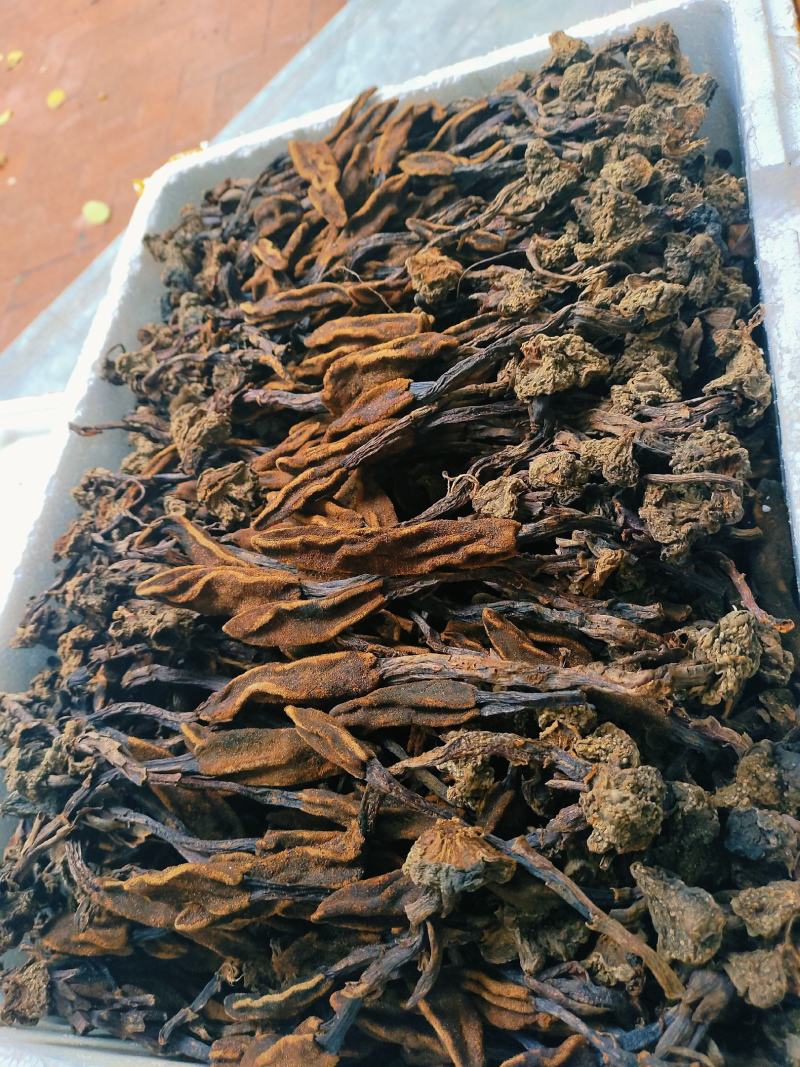 回春草需要请看图来电！