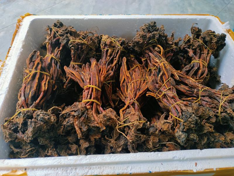 回春草需要请看图来电！