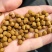 30蛋白1.5赖氨高档罗非料