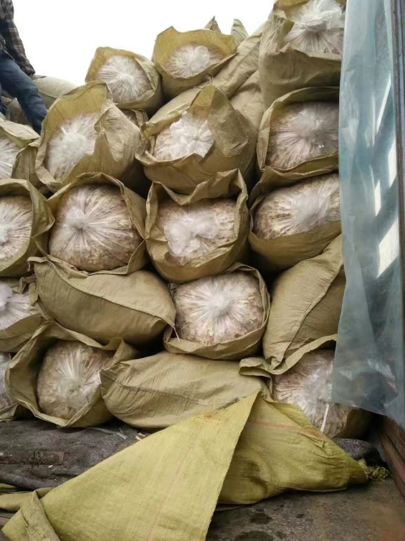 姜干姜片风干姜片烘干姜片产地一手货源大量供应