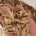 姜干姜片风干姜片烘干姜片产地一手货源大量供应
