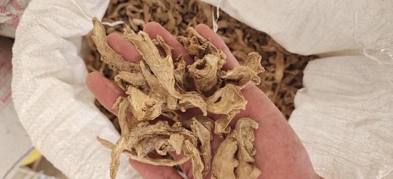 姜干姜片风干姜片烘干姜片产地一手货源大量供应
