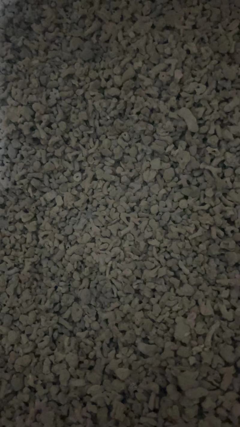 海浮石花石花海石花浮水石中药材海浮石花包邮
