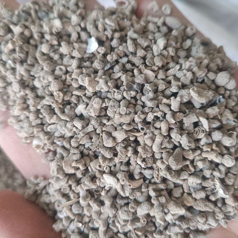 海浮石花石花海石花浮水石中药材海浮石花包邮