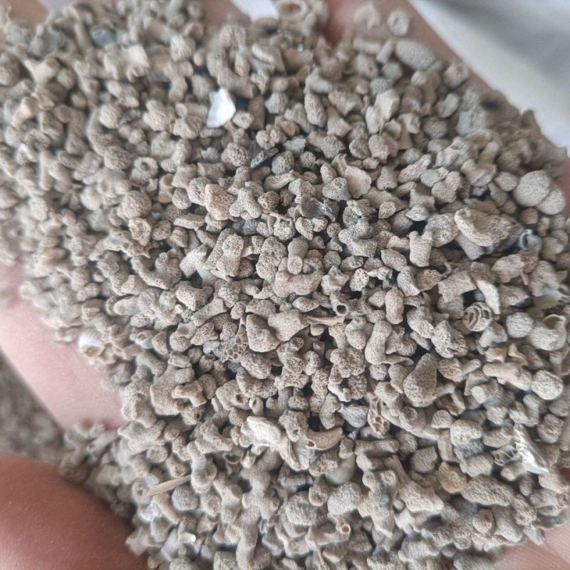 海浮石花石花海石花浮水石中药材海浮石花包邮