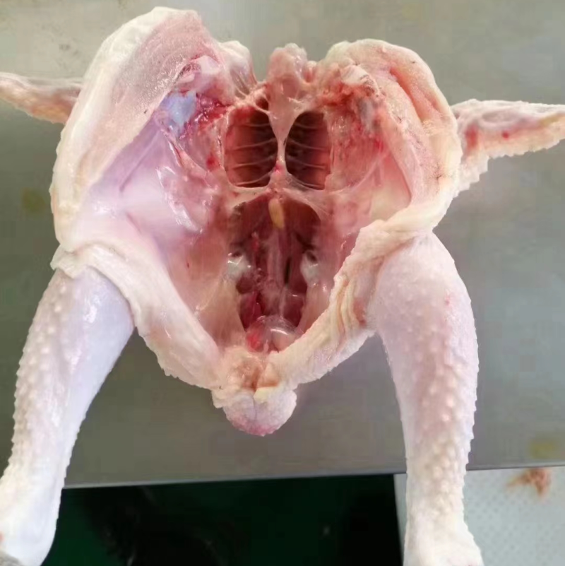 36只西装鸡
