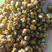安徽野菊花颗粒，一手货源，可视频看货，价格详谈