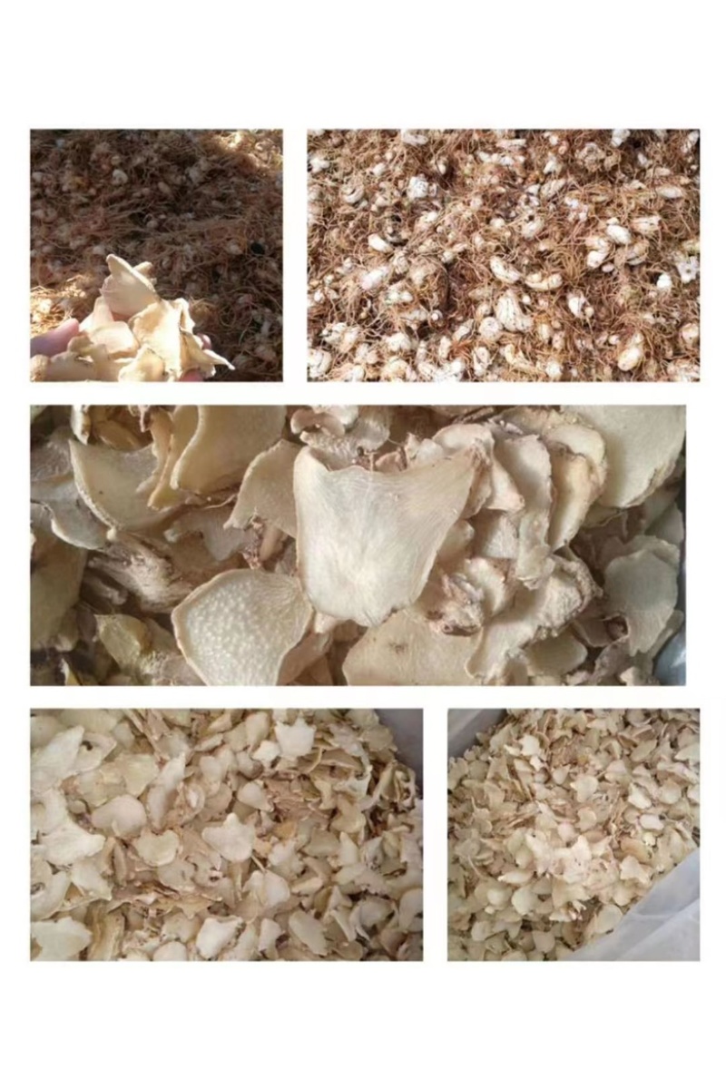 全网低价白芨货源充足随时畅聊供应