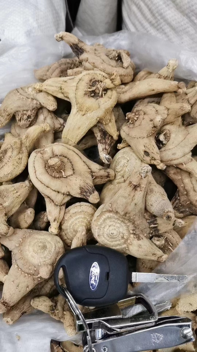 全网低价白芨货源充足随时畅聊供应