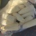 万糯2000冻玉米