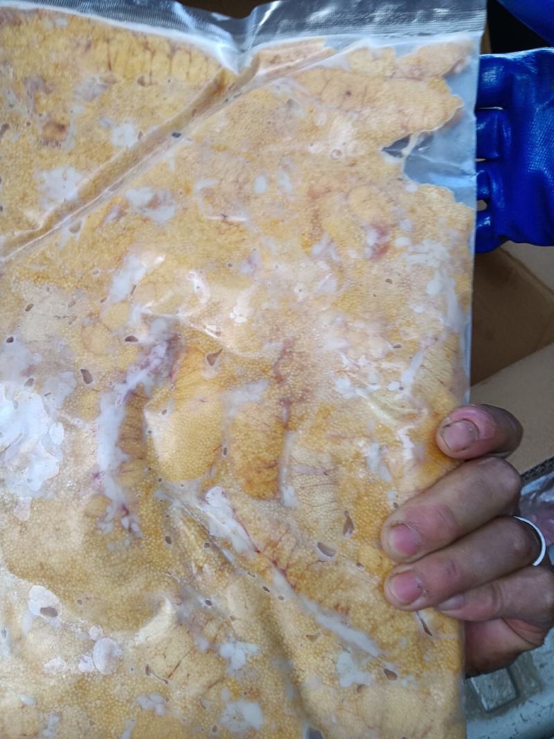 大量销售鱼籽