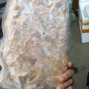 大量销售鱼籽