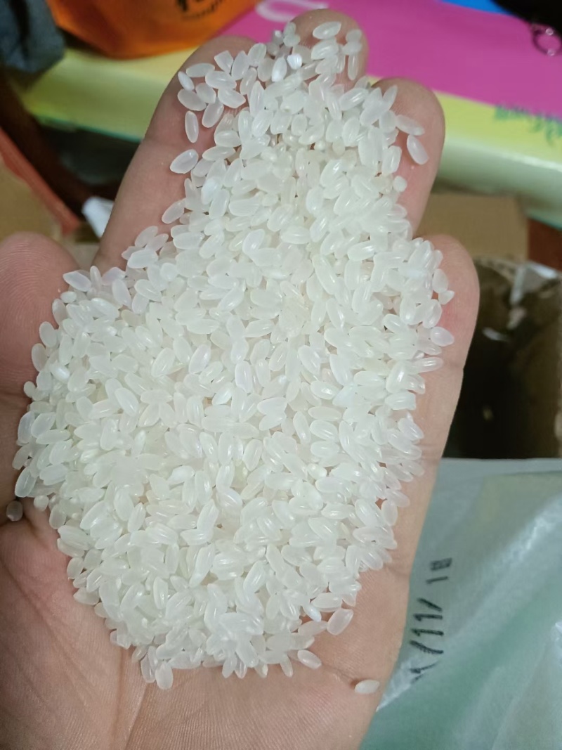 圆粒大米香甜粘糯产地直发品质保证量大从优欢迎咨询