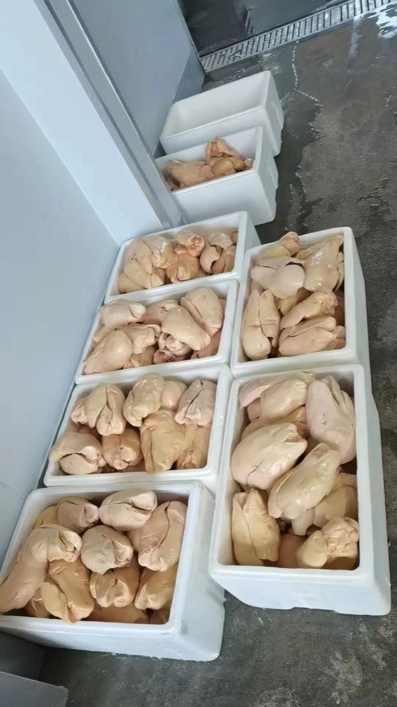 山东潍坊鹅肝，一手货源，品质保证，欢迎大家来电咨询