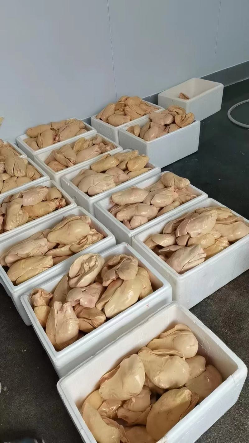 山东潍坊鹅肝，一手货源，品质保证，欢迎大家来电咨询