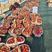 蚌埠红颜草莓大量上市口感好耐运输产地直发
