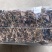 金线莲干品无掺，一手货源，品质保证，量大从优