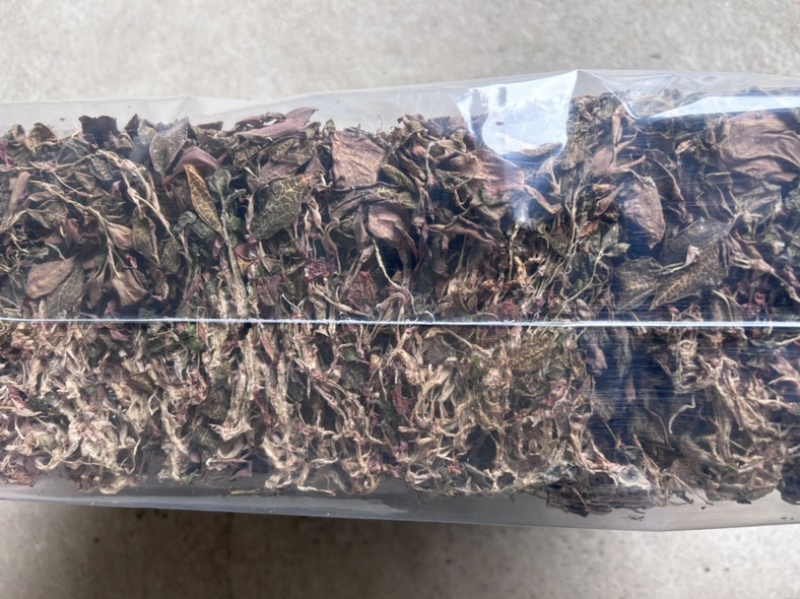 金线莲干品无掺，一手货源，品质保证，量大从优