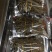 云南铁皮石斛石斛条石斛枫斗石斛花产地货源