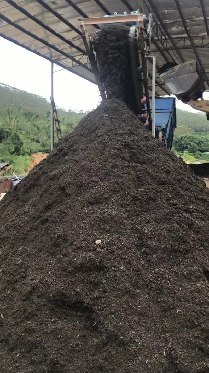 育苗泥炭土种苗