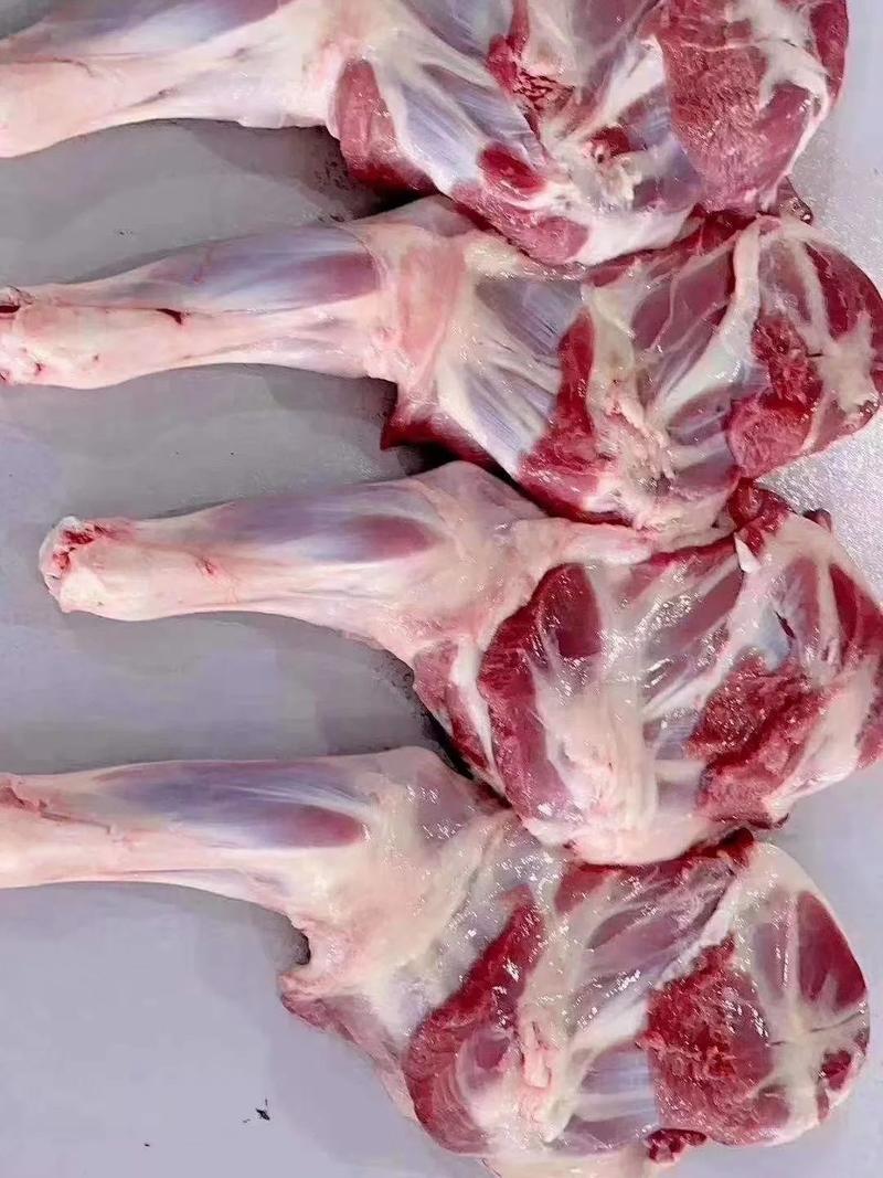 【包邮】羊腿肉新鲜羊腿肉冷冻现杀羊腿肉批发好价