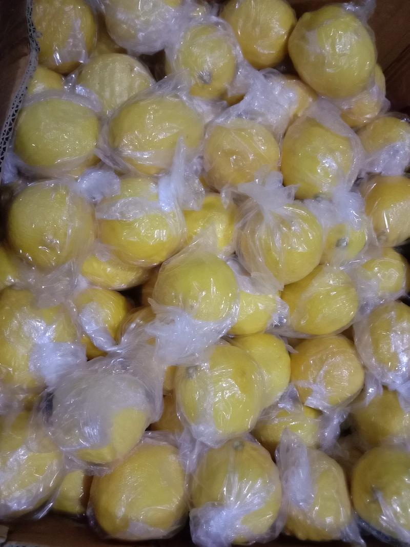安岳黄柠檬量大优惠质量保证精挑细选欢迎各地客商选购